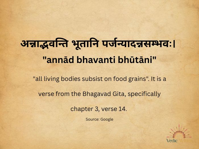 Hearty breakfast for vata ayurveda vedicwibes