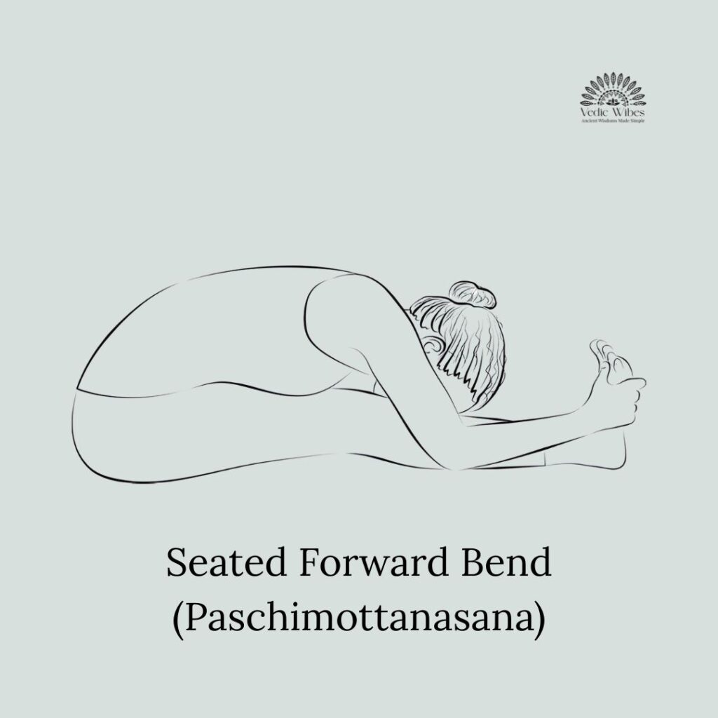 Seated-forward-bend-vedic-wibes-ishita-sengupta