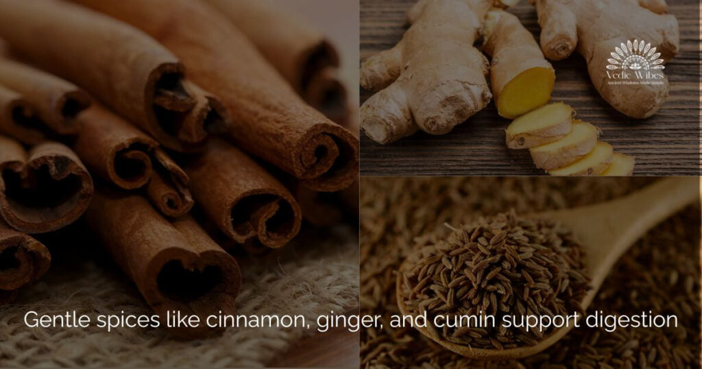 Spices to balance Vata dosha – cinnamon, ginger, cumin, cardamom